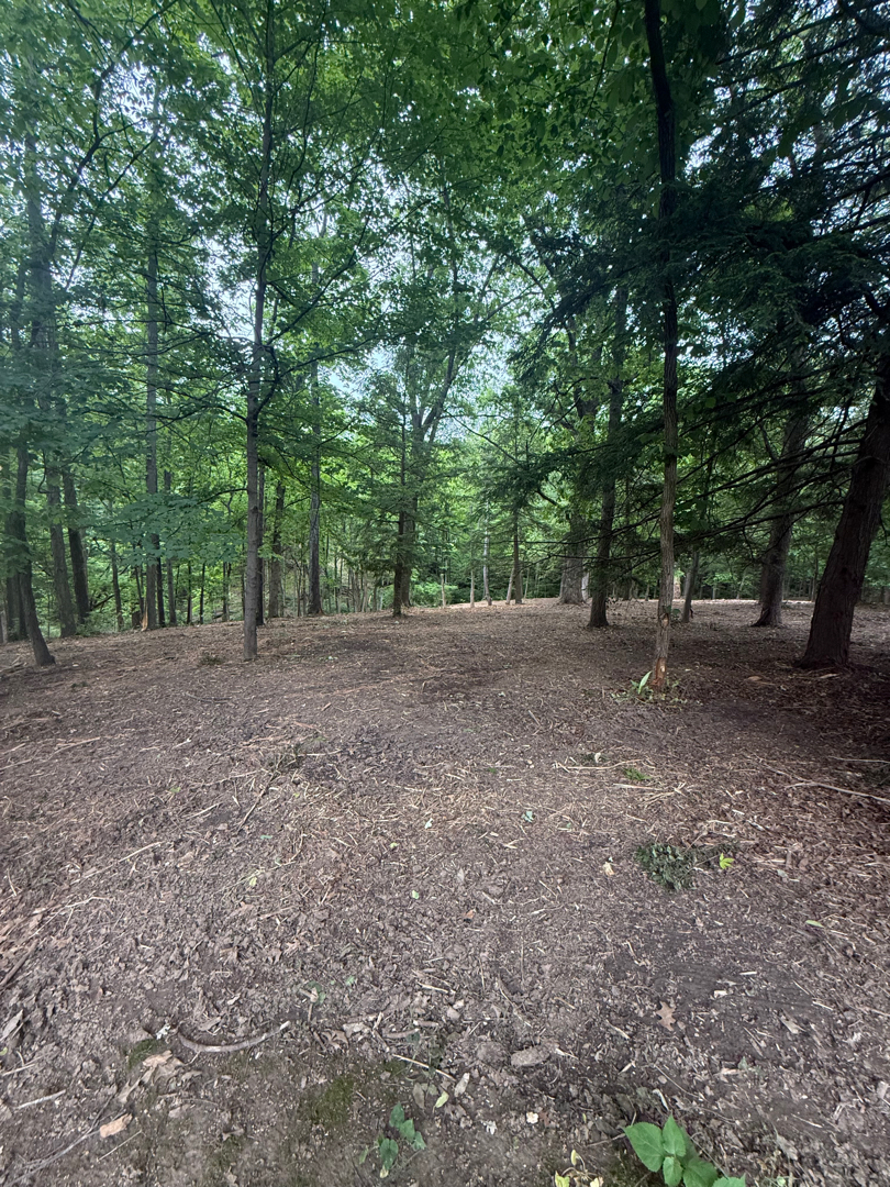 Cleared Cincinnati-area property after forestry mulching and brush clearing